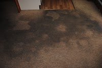1A Acclaim Carpet Cleaners 350799 Image 1